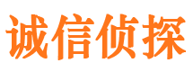 大武口市侦探调查公司